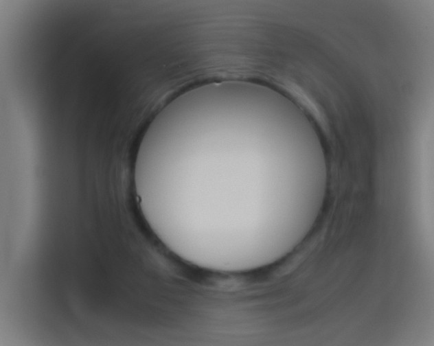 X0000114170113200910081121