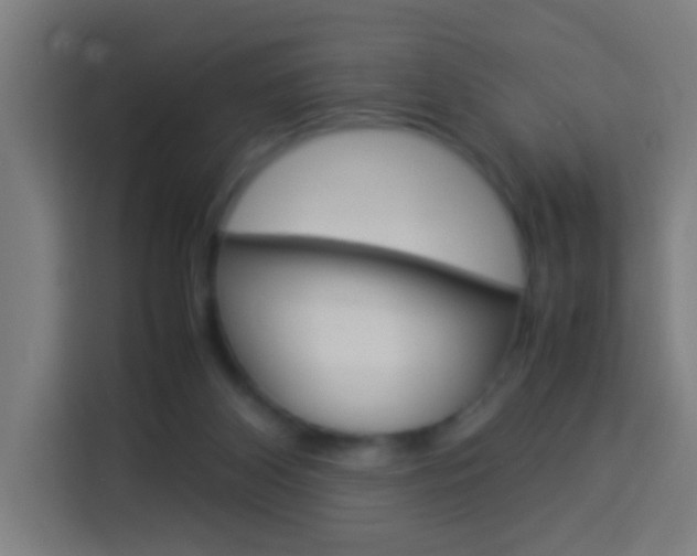 X0000114170116200910081121