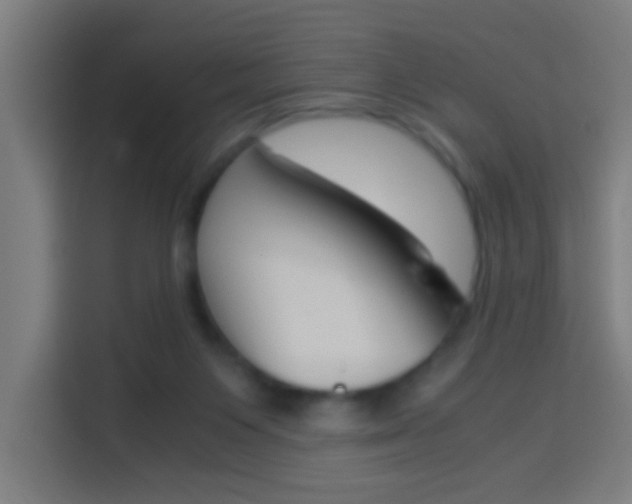 X0000114170119200910081121