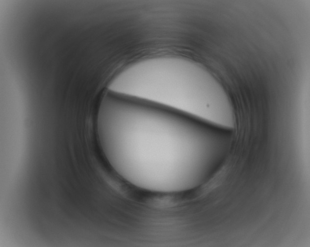 X0000114170120200910081121