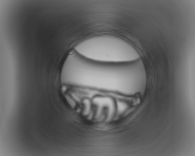 X0000114170121200910081121