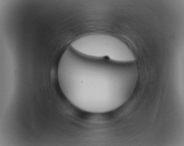 X0000114170123200910081121