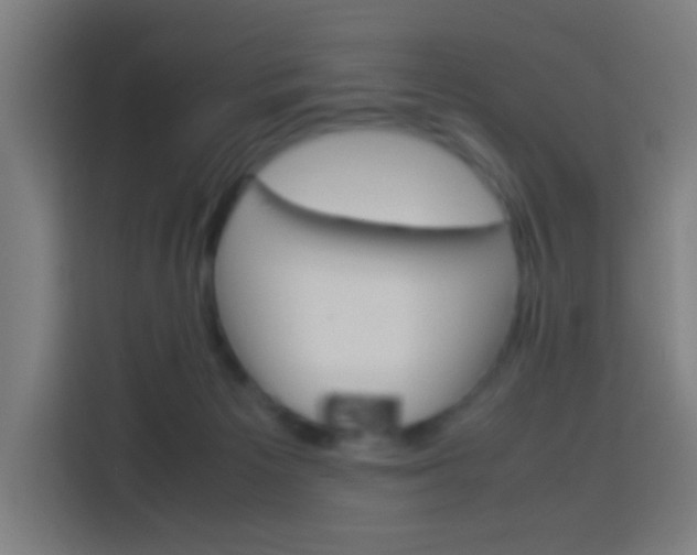 X0000114170125200910081121