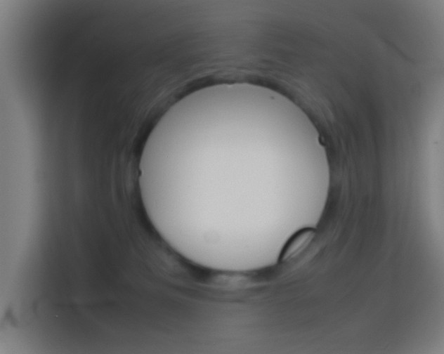 X0000114170133200910081121
