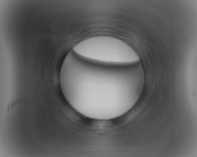 X0000114170135200910081121