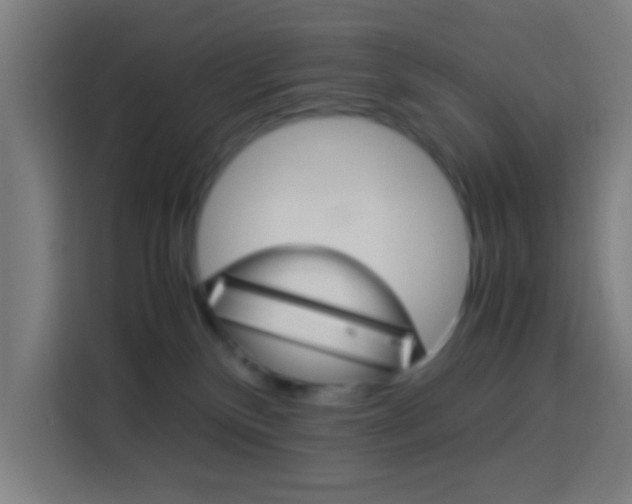 X0000114170136200910081121