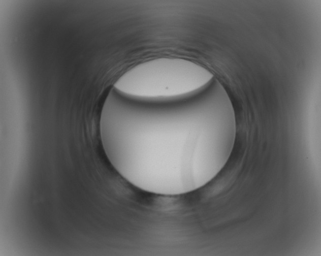 X0000114170139200910081121