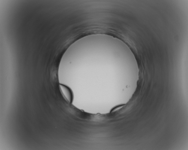 X0000114170141200910081121