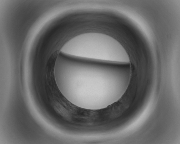X0000114170143200910081121