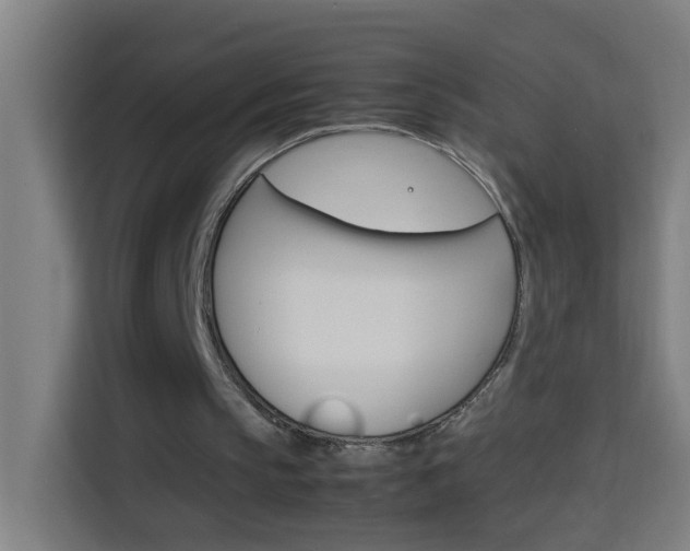 X0000114170145200910081120