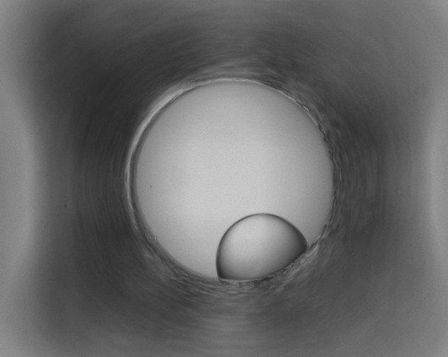 X0000114170148200910081120
