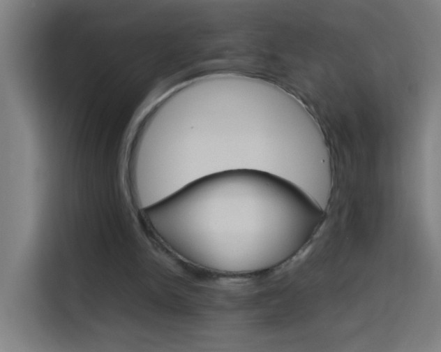 X0000114170150200910081120