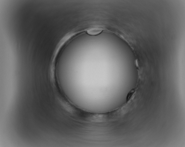 X0000114170152200910081120