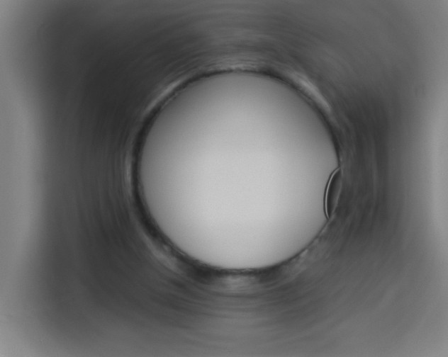 X0000114170154200910081120