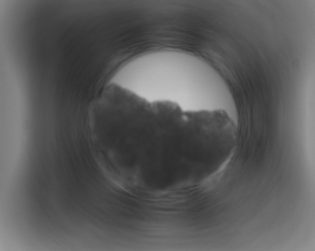 X0000114170167200910081120