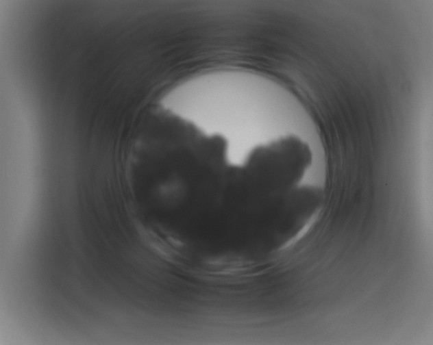 X0000114170171200910081120