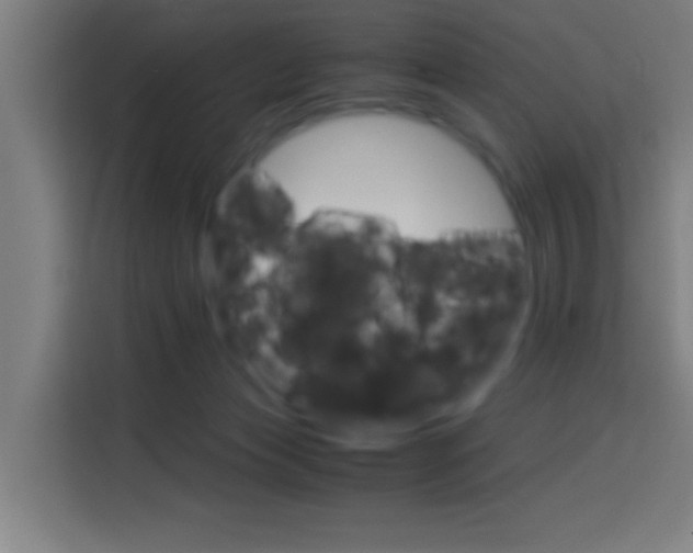 X0000114170173200910081120