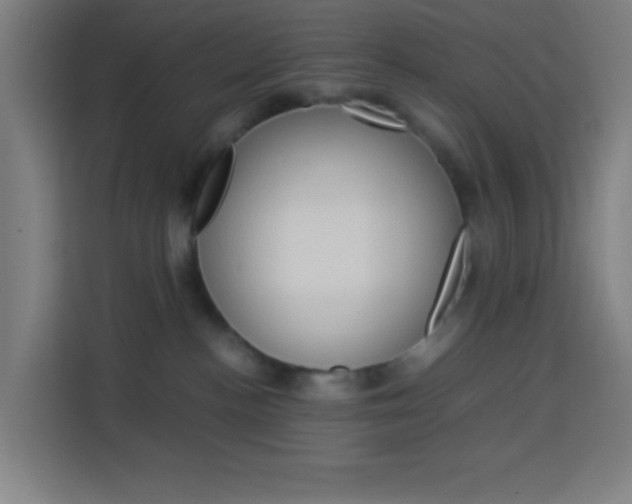 X0000114170188200910081121