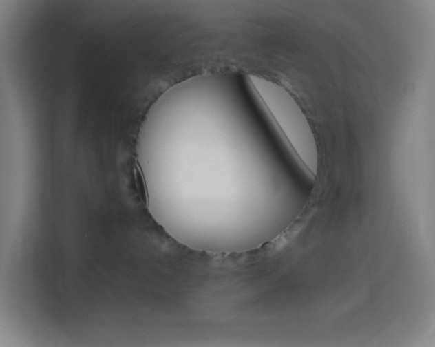 X0000114170192200910081121