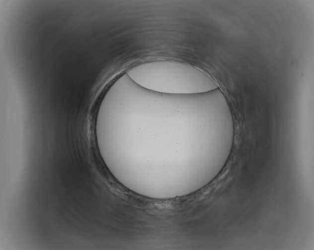 X0000114170194200910081120
