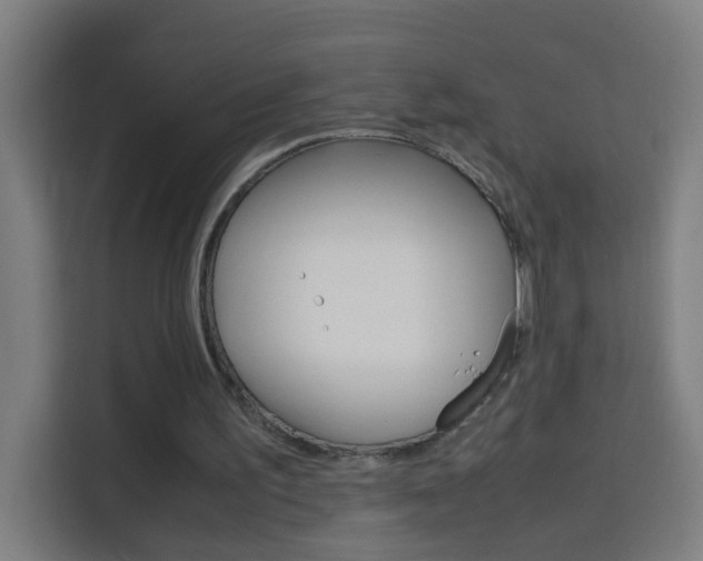 X0000114170195200910081120