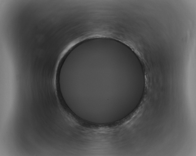 X0000114170196200910081120