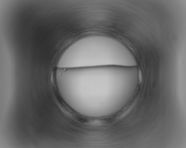 X0000114170205200910081120