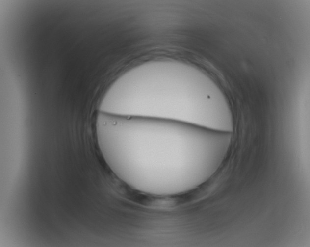 X0000114170217200910081120