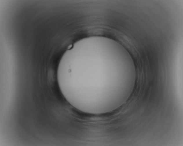 X0000114170224200910081120