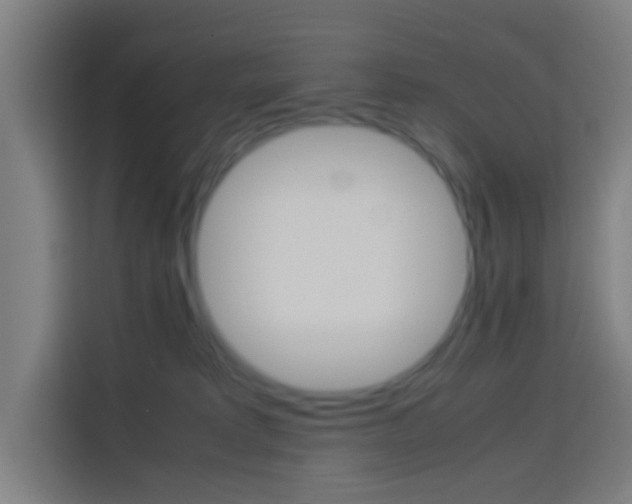 X0000114170229200910081119