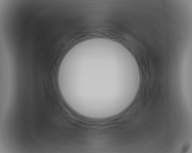 X0000114170231200910081119