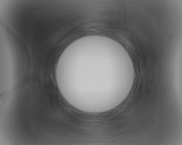 X0000114170233200910081119