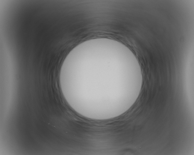 X0000114170235200910081119