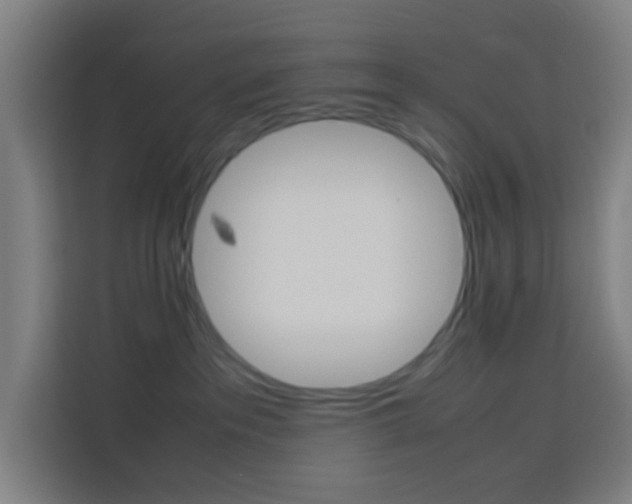 X0000114170237200910081119