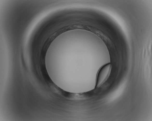 X0000114170239200910081119