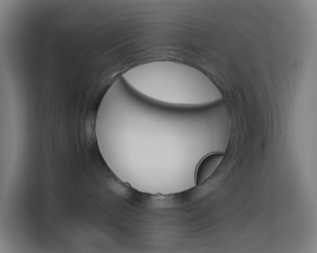 X0000114170240200910081119