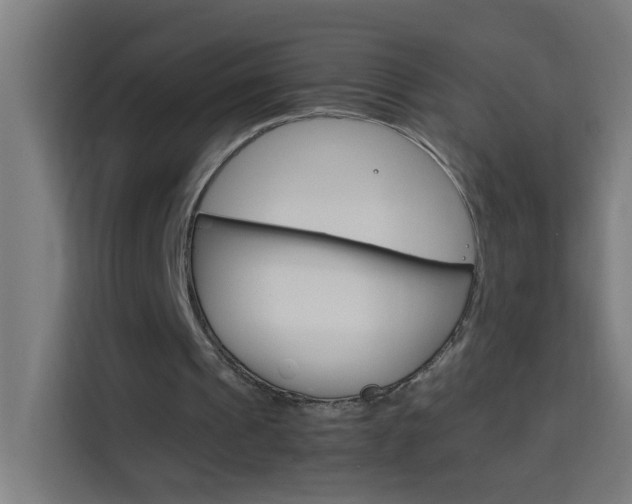 X0000114170241200910081119