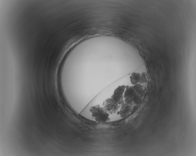 X0000114170242200910081119