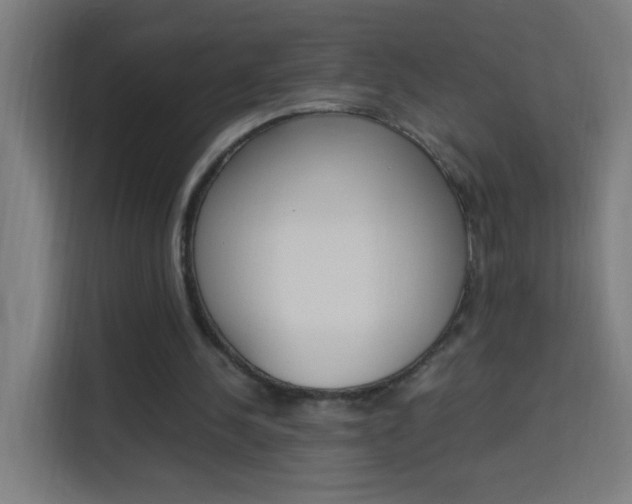 X0000114170244200910081119