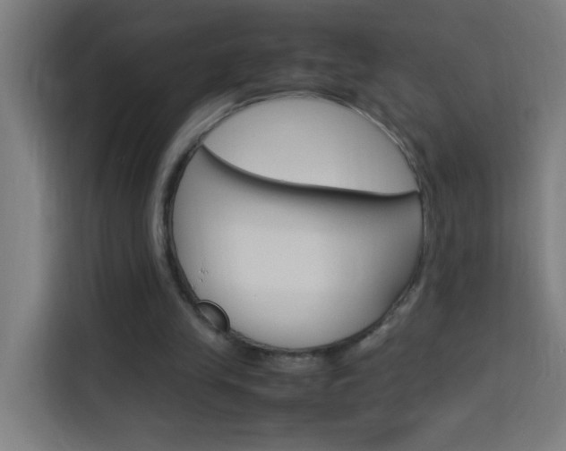 X0000114170245200910081119