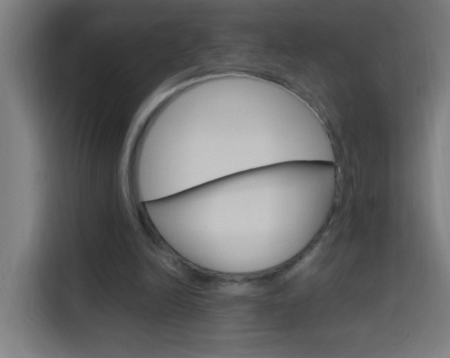 X0000114170246200910081119