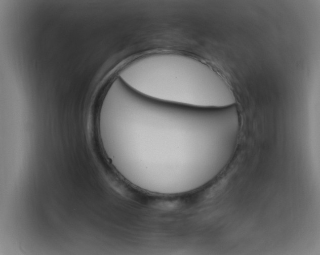 X0000114170247200910081119
