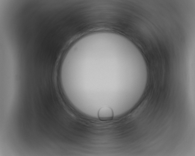 X0000114170252200910081119