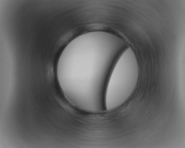 X0000114170254200910081119