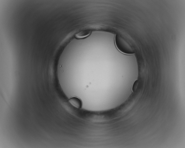 X0000114170256200910081119