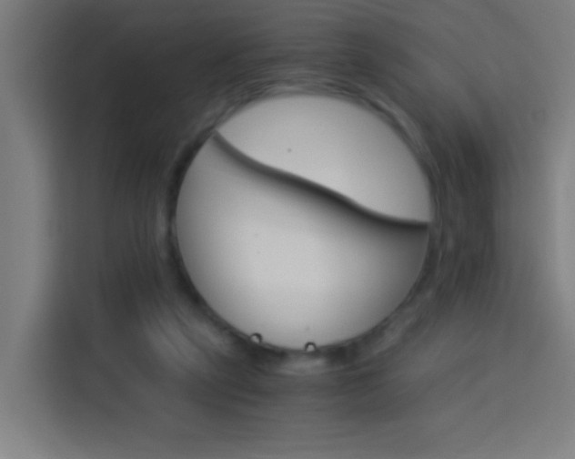 X0000114170257200910081119
