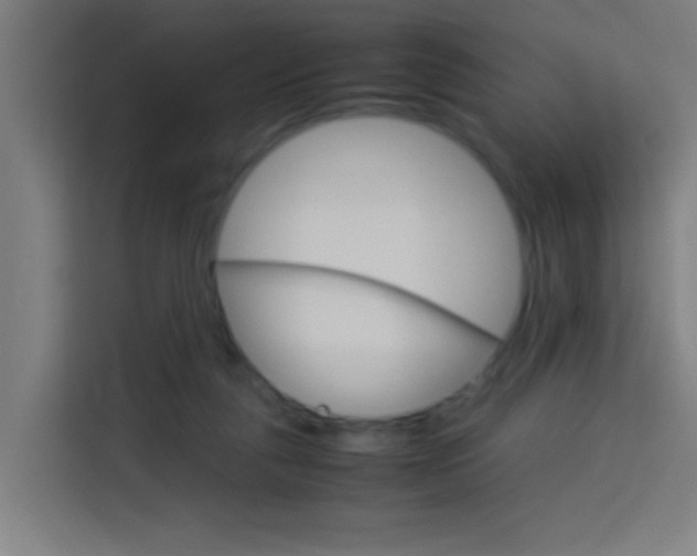 X0000114170259200910081119