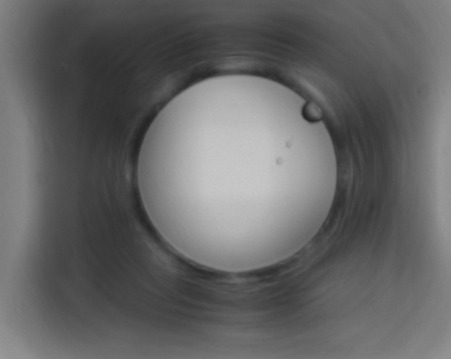 X0000114170261200910081119
