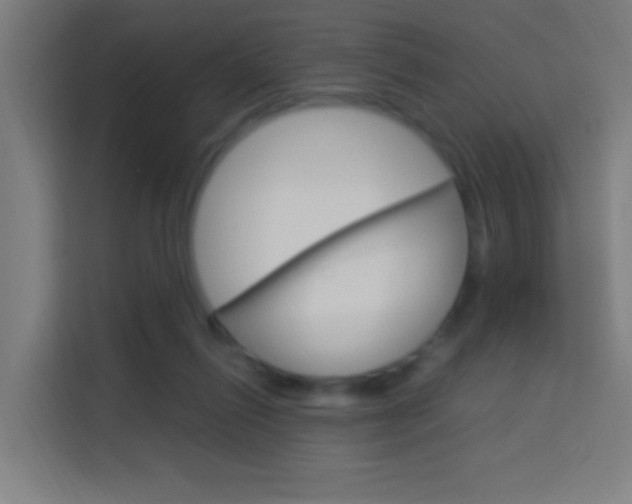 X0000114170262200910081119