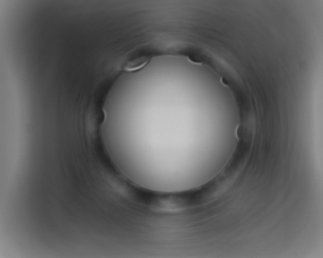 X0000114170268200910081119